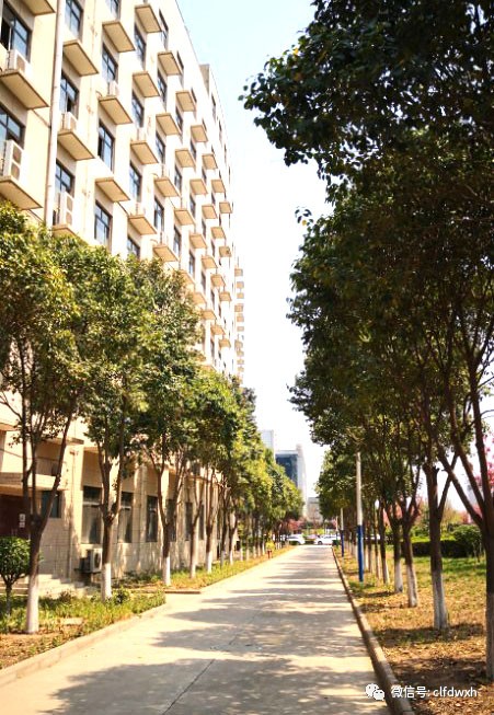 1554386327257240.jpg 0 (8).jpg