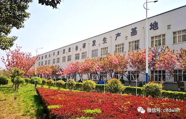 1554386340629797.jpg 0 (9).jpg