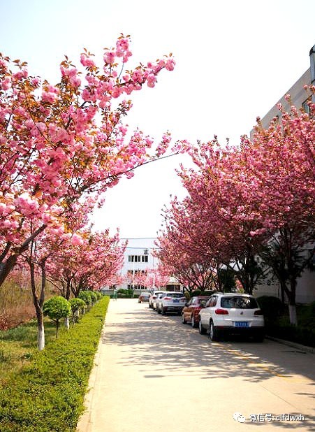 1554386363767170.jpg 0 (10).jpg