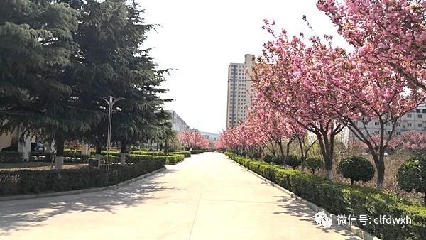 1554386379336375.jpg 0 (11).jpg