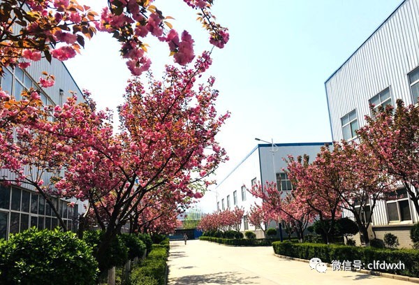 1554386425415030.jpg 0 (13).jpg