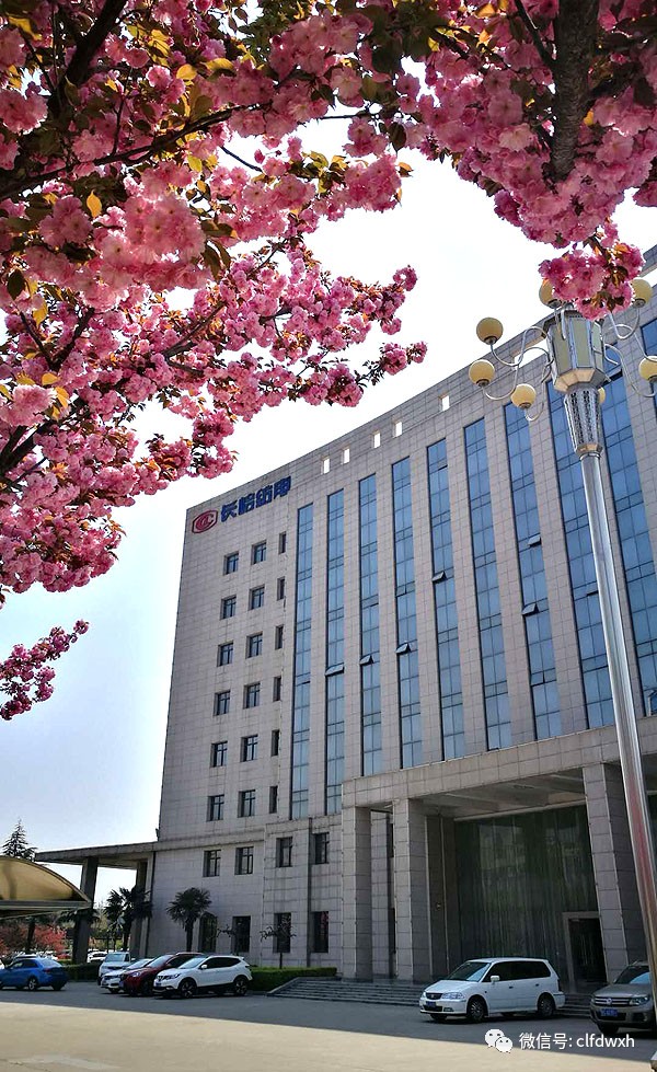 1554386596163140.jpg 0 (6).jpg