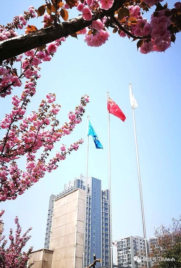 1554386693262925.jpg 0 (2).jpg